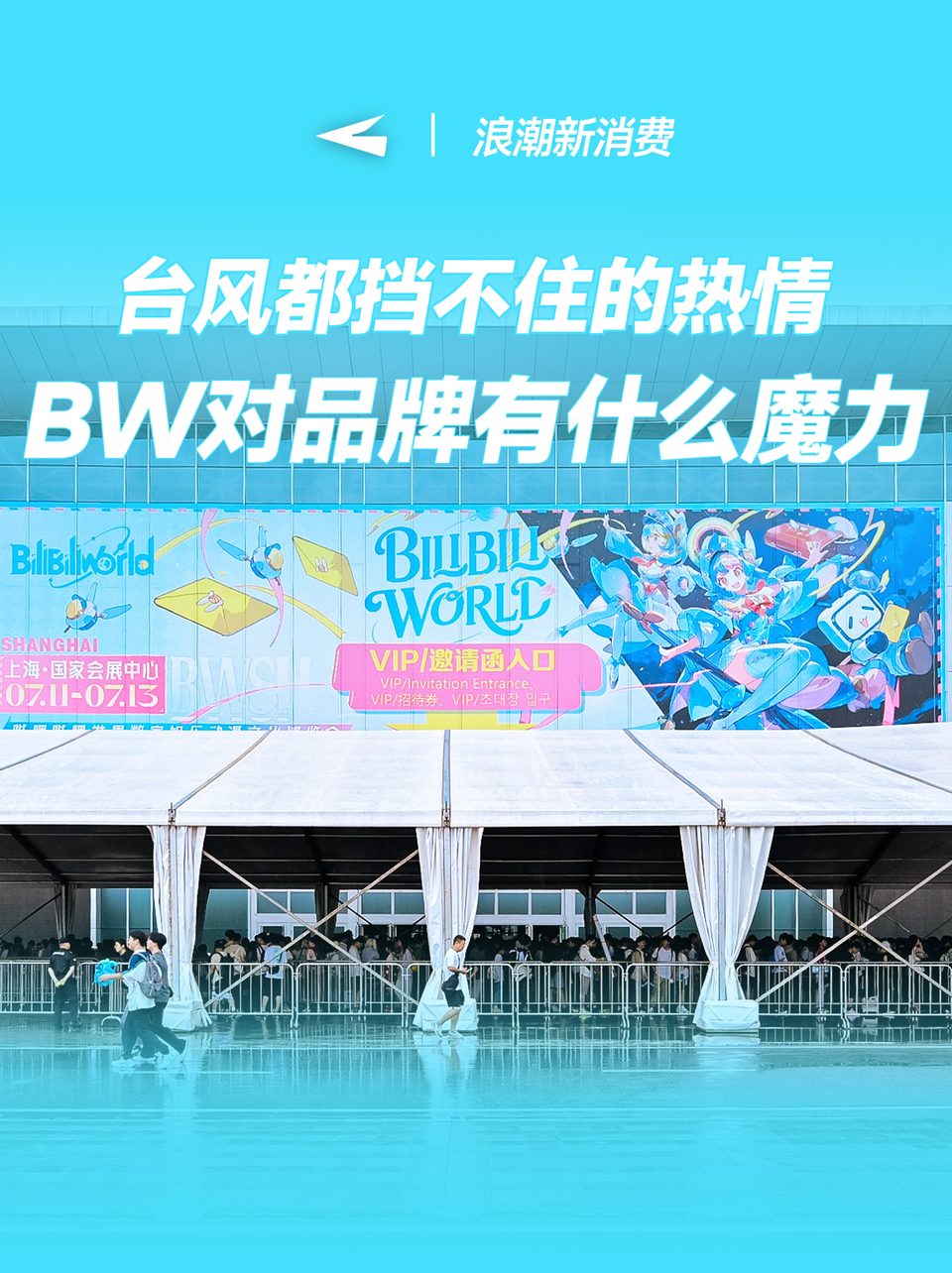 台风都挡不住的热情，BW对品牌有什么魔力